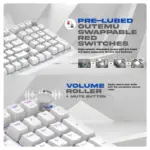 Cosmic Byte Phantom GK41 Gasket Mechanical Wired Swappable Keyboard with PreLubed Switches (White) - Image 6