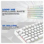 Cosmic Byte Phantom GK41 Gasket Mechanical Wired Swappable Keyboard with PreLubed Switches (White) - Image 4